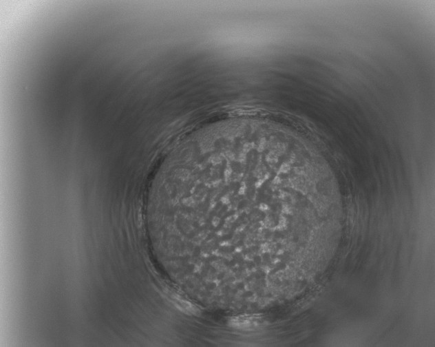 X0000067500761200604150107