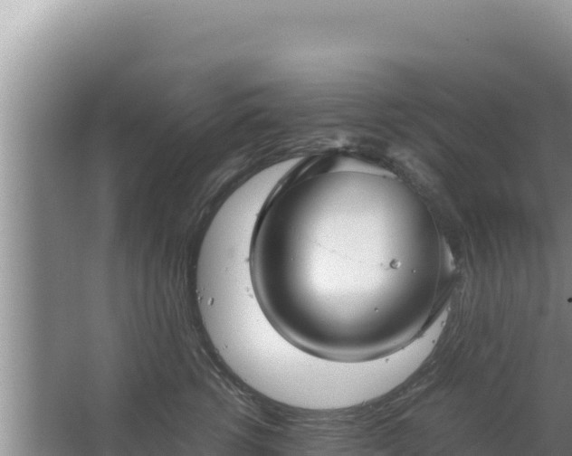 X0000067500762200604150107