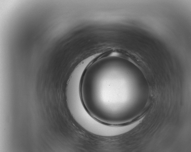 X0000067500763200604150107