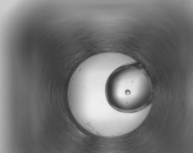 X0000067500764200604150107