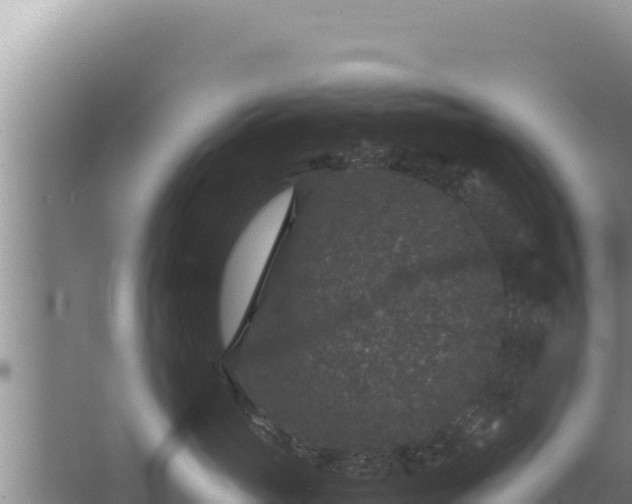 X0000067500765200604150107