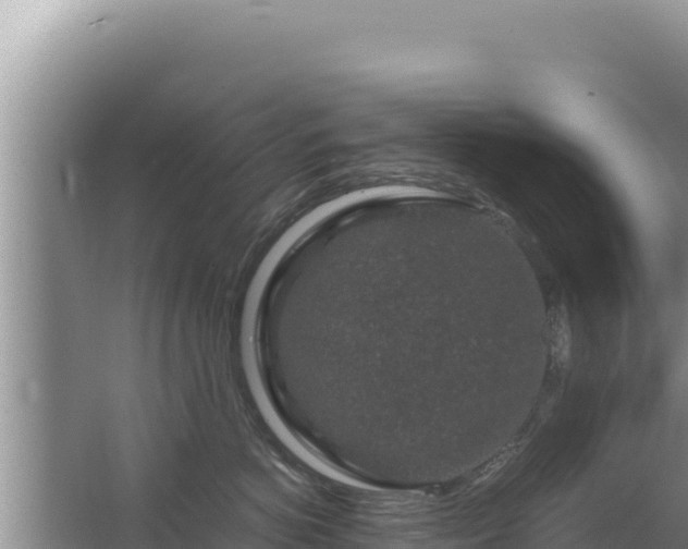 X0000067500766200604150107