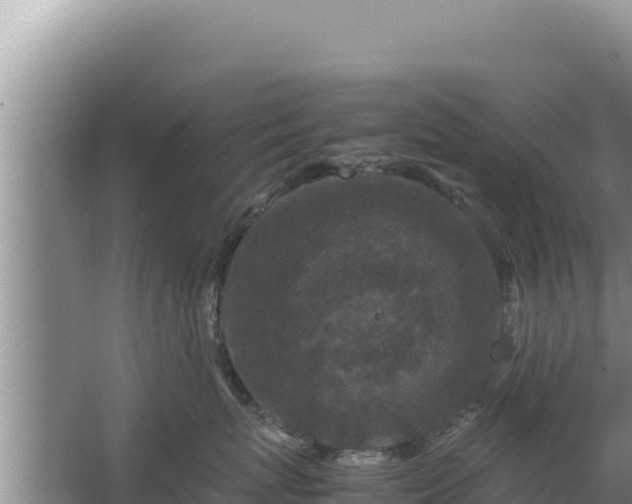 X0000067500767200604150107