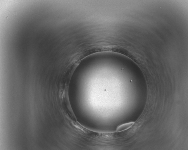 X0000067500768200604150107