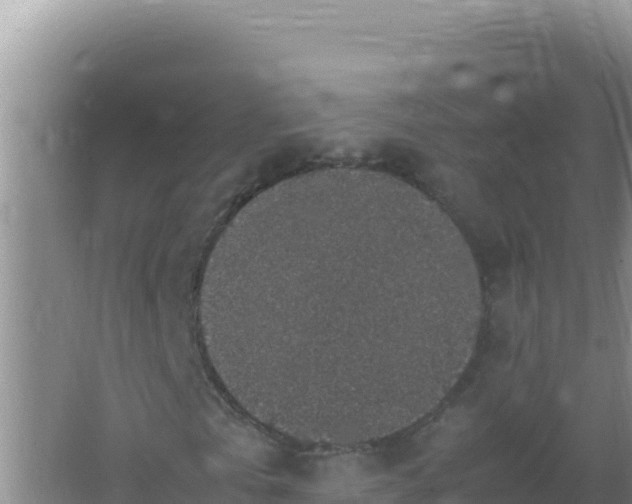 X0000067500769200604150107