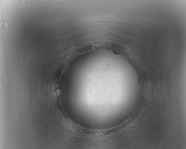 X0000067500770200604150107