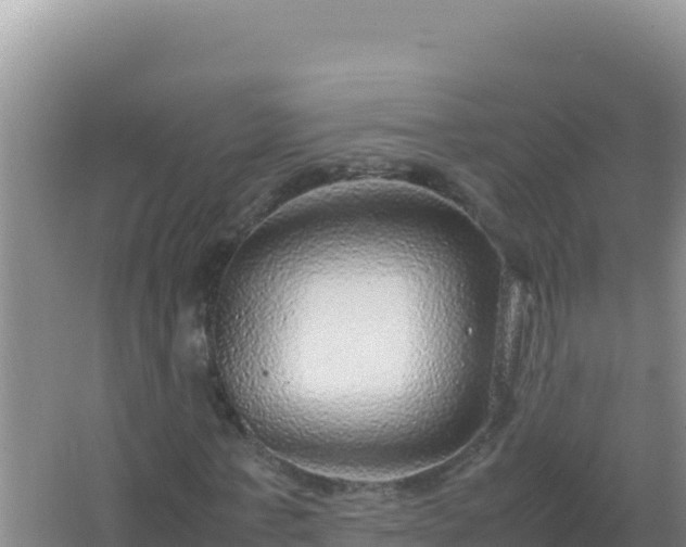 X0000067500771200604150107