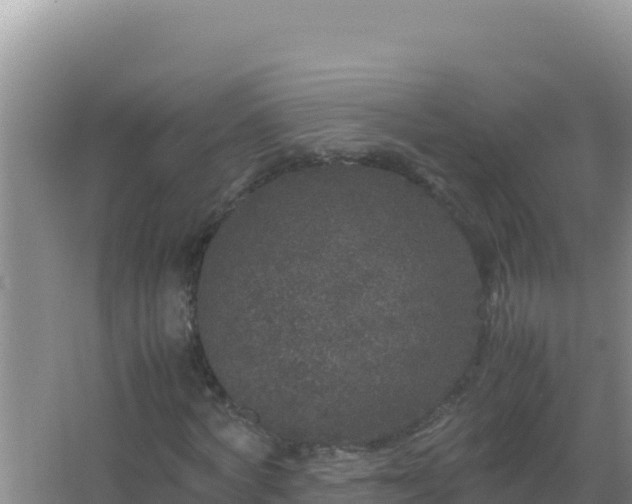 X0000067500772200604150107