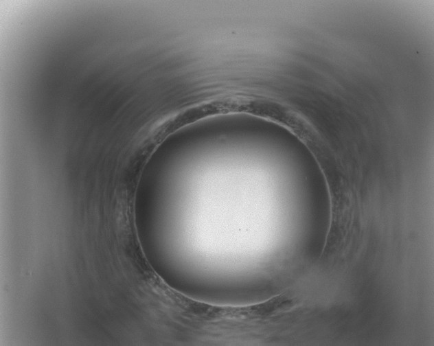 X0000067500773200604150107