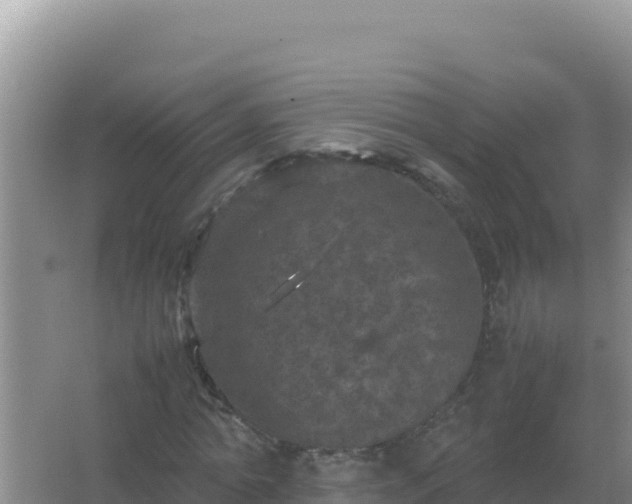 X0000067500774200604150106