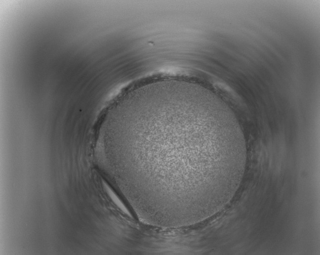 X0000067500776200604150106