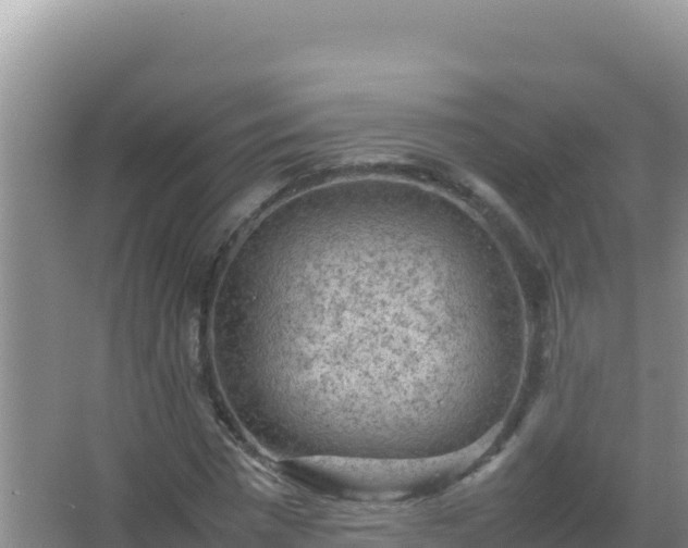 X0000067500777200604150106