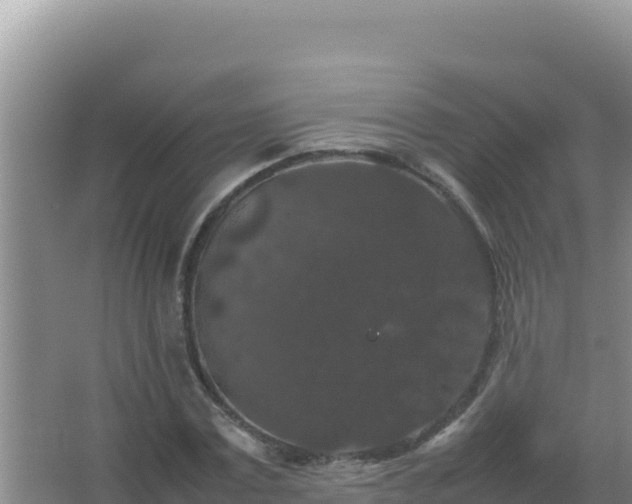 X0000067500779200604150106