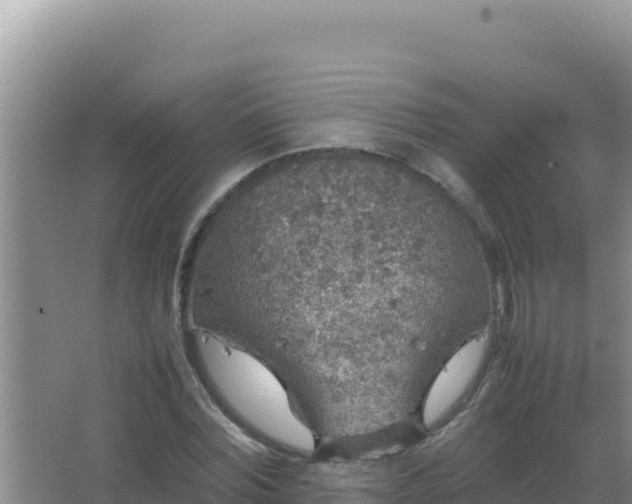 X0000067500780200604150106