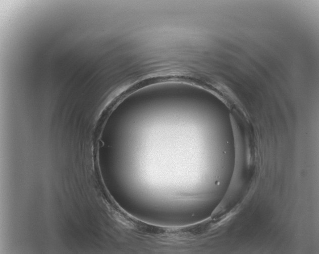 X0000067500781200604150106