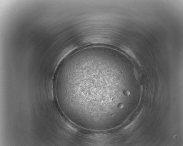 X0000067500782200604150106