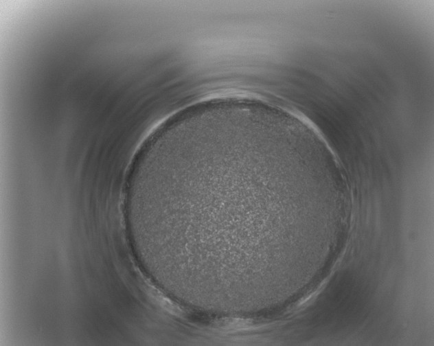 X0000067500783200604150106