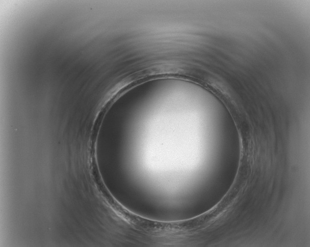 X0000067500786200604150106