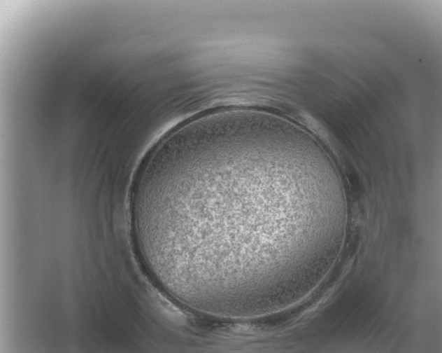 X0000067500787200604150106