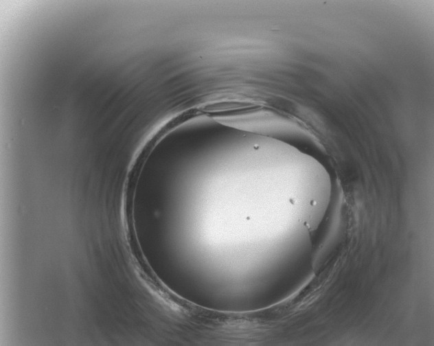 X0000067500788200604150106