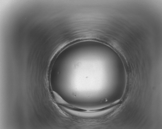 X0000067500789200604150106