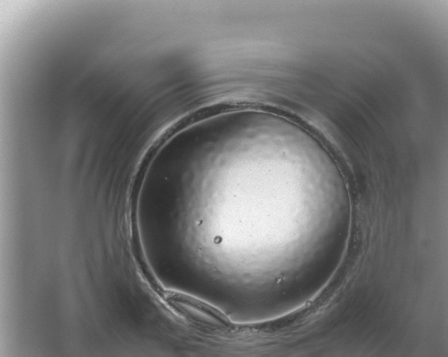 X0000067500791200604150106