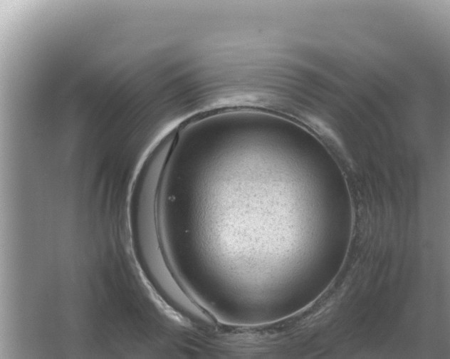 X0000067500792200604150106