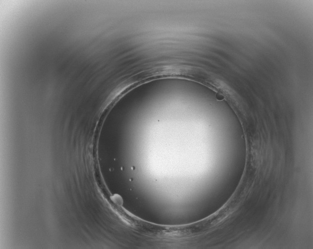 X0000067500794200604150106