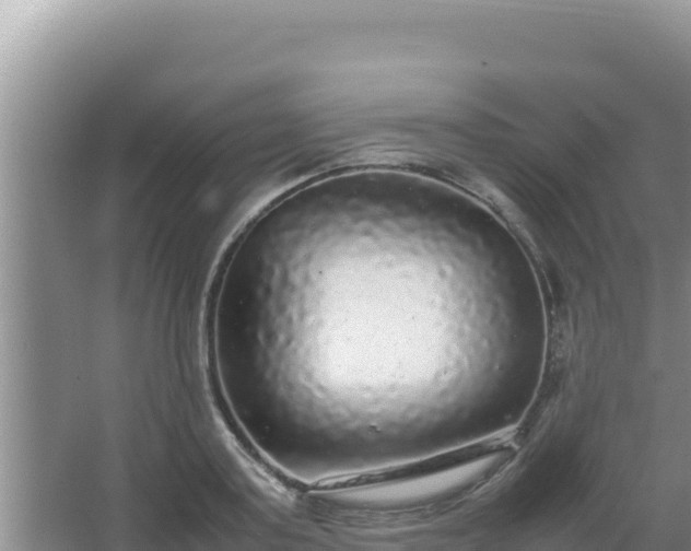 X0000067500795200604150106