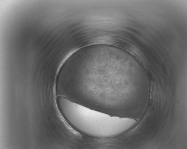 X0000067500796200604150106