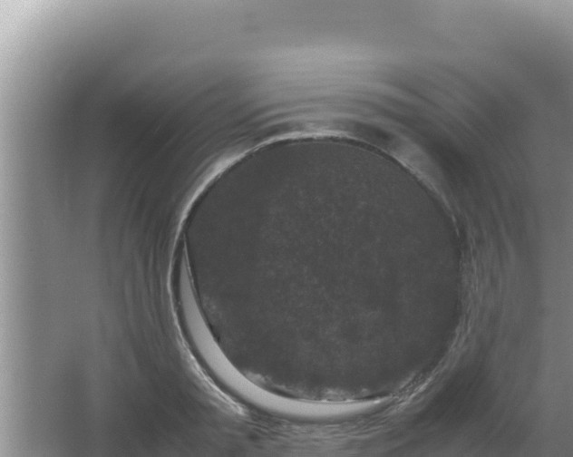 X0000067500797200604150106