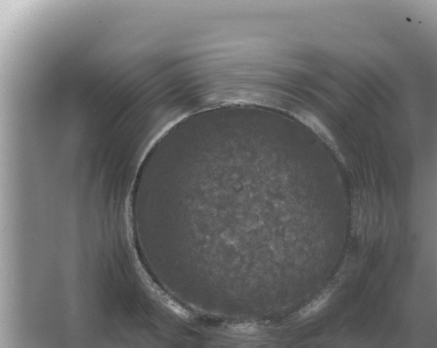 X0000067500798200604150106