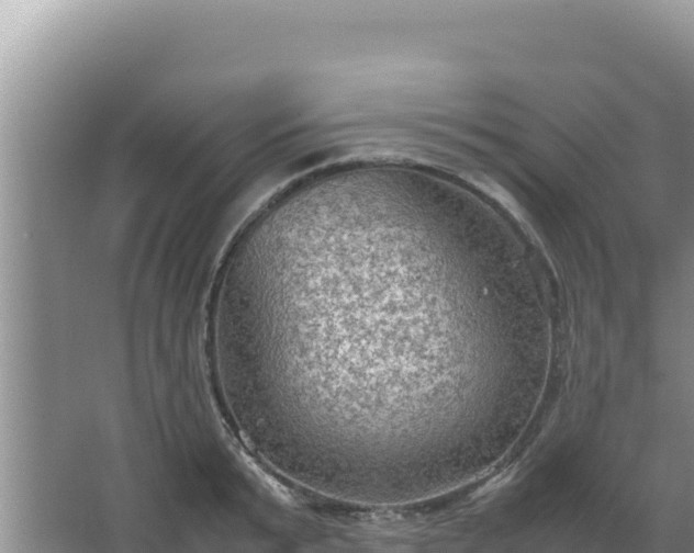 X0000067500799200604150106