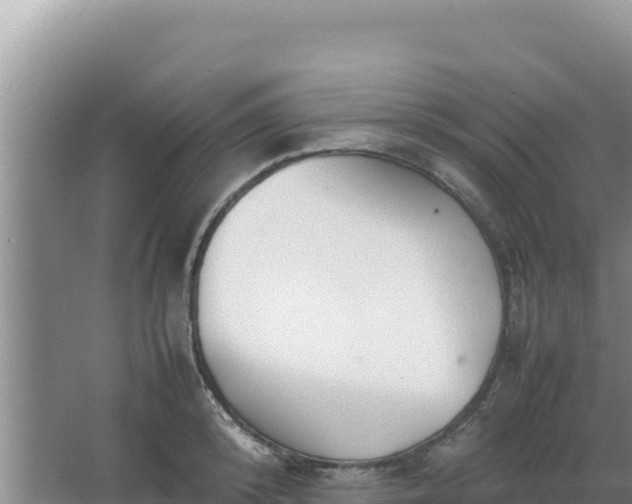 X0000067500800200604150106