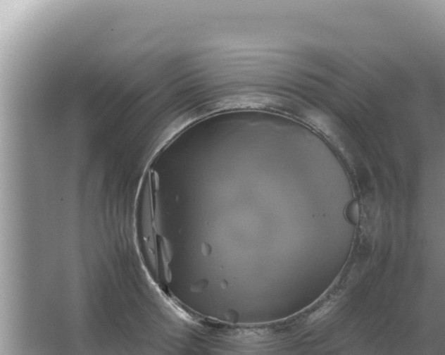 X0000067500802200604150106