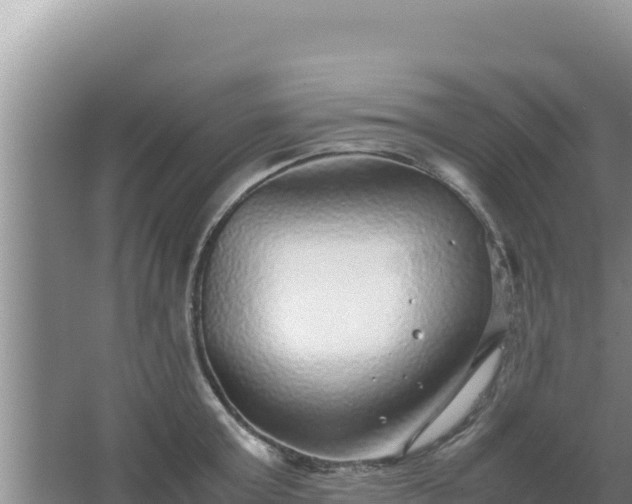 X0000067500803200604150106