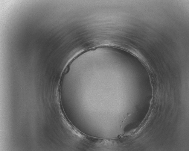 X0000067500806200604150106