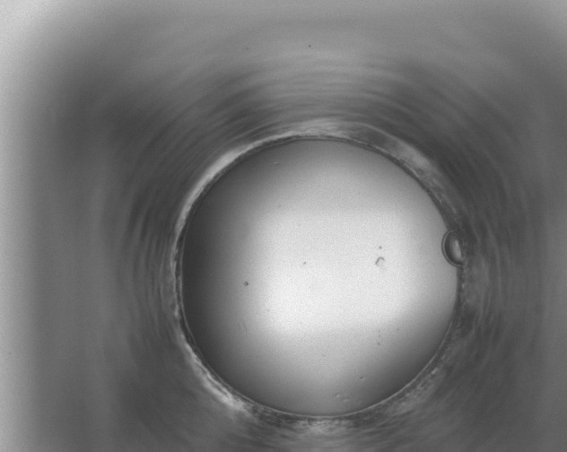 X0000067500808200604150106