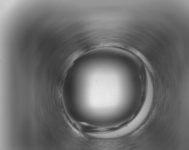 X0000067500809200604150106