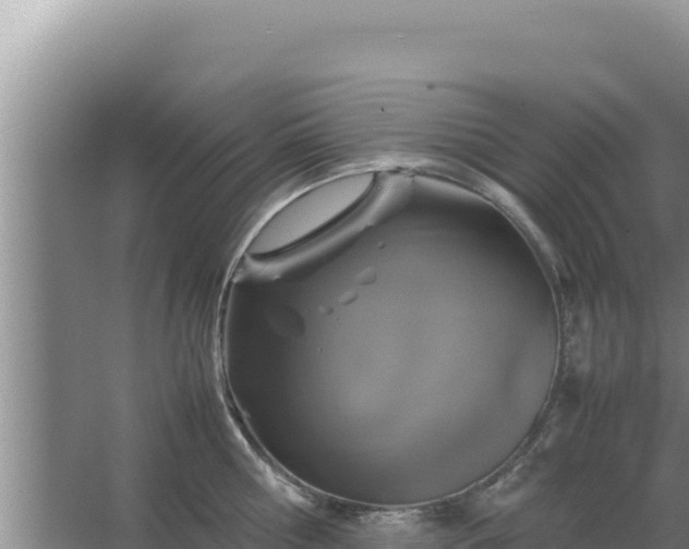 X0000067500810200604150106