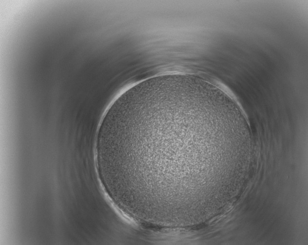 X0000067500811200604150106