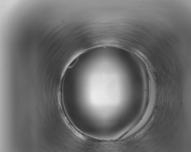 X0000067500812200604150106