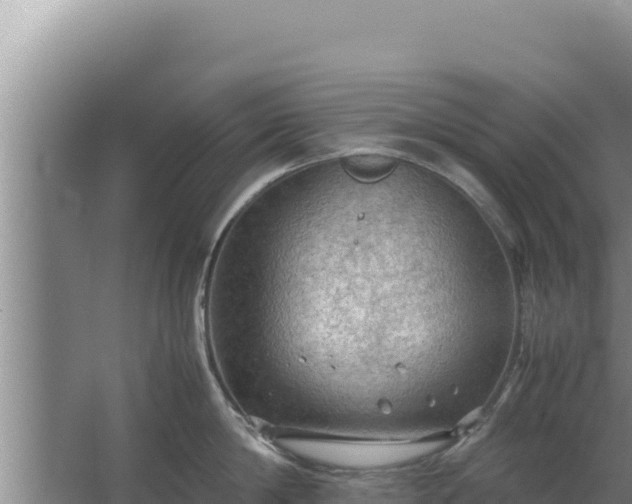 X0000067500814200604150106