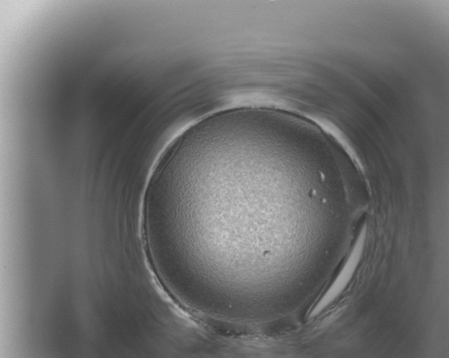 X0000067500815200604150106