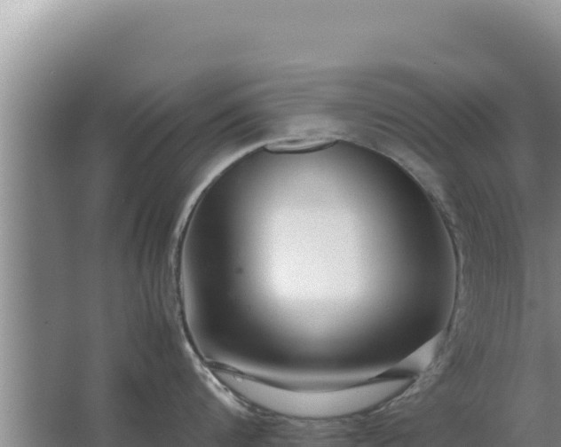 X0000067500816200604150106