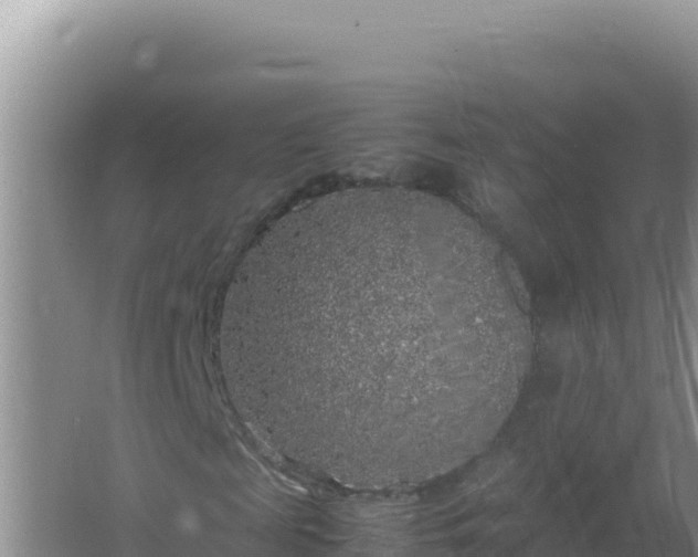 X0000067500817200604150105