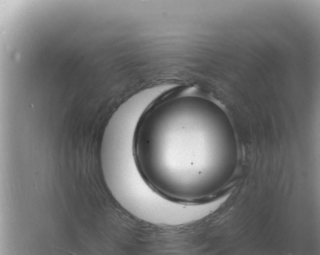 X0000067500818200604150105