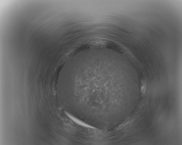 X0000067500819200604150105