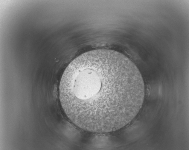 X0000067500820200604150105