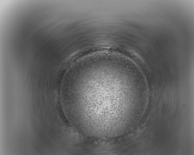 X0000067500821200604150105